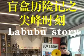 哈哈哈哈 拉布布隐藏我来啦 @河马君 前面四个 哈哈哈哈是送给你的#泡泡马特 #隐藏款 #球鞋阿拉灯神丁 #labubu #河马君