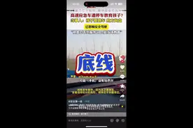 当孩子触碰底线的时候，制止他的行为是第一教育目标。妈妈在高速上停下来打孩子是为了维护安全底线，没毛病。#亲子教育 #家长必读 #底线教育 #安全出行视频封面