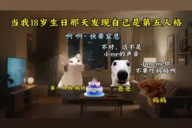 当我18去那天发现自己是第五人格#猫meme音乐#镇痛剂舞蹈挑战