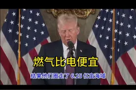 懂王真懂生活知道燃气比电便宜