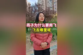 燕子为什么要南飞，飞去哪里呢？#你知道吗 #涨知识