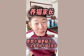 新手如何养出黏人亲人的小猫？#新手养猫 #养猫人 #我和我的猫 #养猫经验分享