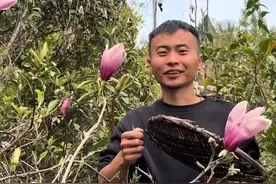 吃花的季节#我的乡村生活 #农村日常生活视频封面