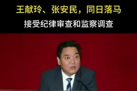 王献玲、张安民，同日落马视频封面