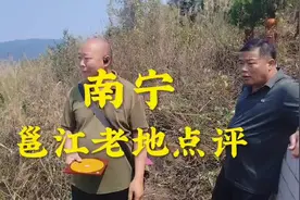 南宁老树发新芽#风水玄学 #住宅有讲究 #国学文化 #易学智慧视频封面