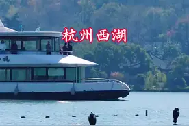 总要去一趟杭州吧！去打卡一元纸币背面的三潭印月#杭州西湖#三潭印月