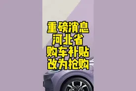 河北购车补贴改成抢了，大家准备好拼手速吧 #汽车国补或将开启抢券时代视频封面