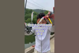 路亚小技巧第44期 控饵技巧硬饵篇 米诺的操作手法沉水浮水 #路亚新手入门教程 #路亚假饵 #路亚翘嘴 #2025dou来钓鱼 #万物皆可种草搜
