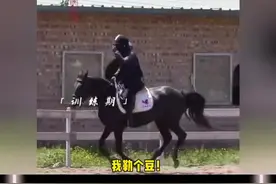 #肖战 这个骑马训练视频，我直接被硬控住了！#肖战骑马训练花絮 #射雕英雄传 #庄达菲