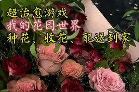 快来看看我在花园世界领到的真花 #我的花园世界 #玩游戏送真花 #种花小游戏 @我的花园世界