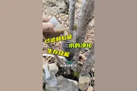 臭水坑的水过滤以后味道如何#末日生存 #生存狂 #野外生存技能 #可成 #户外视频封面