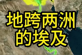 四大文明古国之一的埃及，面积不算小，人口不算少，但是人口居住地却极为集中。#地理 #埃及 #非洲 #地理知识 #科普视频封面