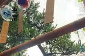 刚好上周有一天下雨就去了位于东京早稻田站的法轮寺，寺中花手水是最有名的，很多人慕名而来！寺院内季节限定的剪纸御朱印是12个月对应12种植物，每月不重样，6月正值紫阳花盛开季，寺院很小很小很精致，入口处就开始的风铃🎐花手水，紫阳花，再到朱印～～处处尽显初夏的味道！日本的雨季，浓浓日系庭院电影🎥 中的场景很是出片#东京法轮寺#紫阳花#御朱印#东京法轮寺