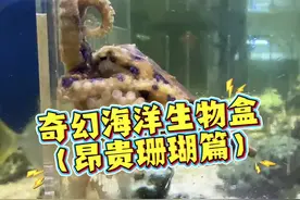 开到什么养什么！现实版宠物养成游戏来咯～ #诺亚方缸