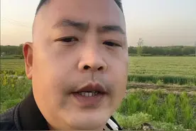 一个家庭到底是男人撑起的还是女人撑起的#接受自己的普通不代表一生平庸视频封面