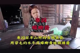 泰国百年山村的当地美食，用蟑螂做的酱，他们居然还吃的津津有味