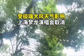 #上海梦龙演唱会取消 。极端天气，请注意安全。视频封面