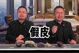沙发的真皮和假皮 买沙发头层牛皮、全青皮、半青皮，重修皮，一个视频搞清楚#沙发怎么选 #真皮沙发 #全青皮 #装修避坑 #头层牛皮沙发视频封面