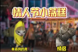 情人节小荡糕？！ #猫meme #七夕 #情人节 #万万没想到 #搞笑