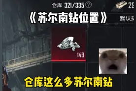 《苏尔南钻位置》 #和平精英地铁逃生