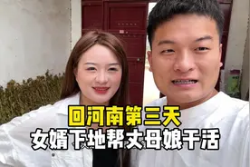 回河南第三天，女婿下地给丈母娘帮忙干活。还整不好意思了视频封面