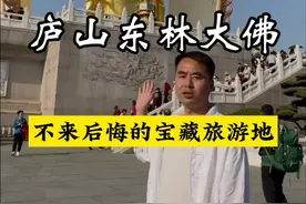 庐山东林大佛竟然吃饭不要钱，门票不要钱，烧香住宿竟然都不收费 #旅行推荐官 #东林大佛 #旅行大玩家 #庐山风景区 #江西