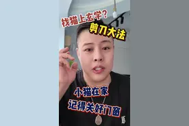 猫丢了用什么方法找回来？剪刀大法这么神吗？你们失而复得过猫吗？#剪刀大法 #猫走丢视频封面