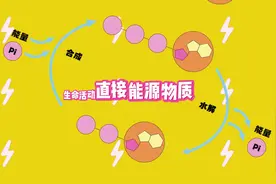 ATP之歌#高中生物 #高中生物怎么学 #学霸秘籍视频封面