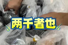 斥巨资买一个海洋宠物箱！看看里面都有啥～ #诺亚方缸 #私人海洋