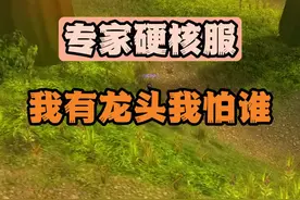 #魔兽世界 #魔兽世界二十周年 #魔兽世界攻略必看 #魔兽世界硬核模式 #我的游戏日常 大家都知道专家硬核服存世首条铁律就是只打比自己等级低的怪，但是唯一可以无视这条规则的条件就是！当你有了龙头BUFF。 
