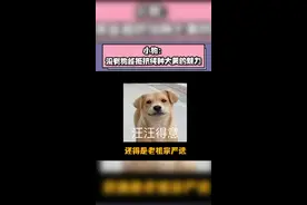 #原谅我不厚道的笑了 #万万没想到 #动物趣事 #狗狗的心思都写在脸上了 #狗狗视频封面