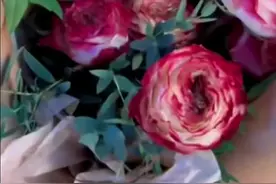 真的很神奇，种花就有机会收真花 #我的花园世界 #玩游戏送真花 #种花小游戏 @我的花园世界