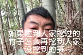 如果找到别人没有挖出来的笋#挖笋的乐趣只有体验过才懂 #我的乡村生活 #挖冬笋视频封面