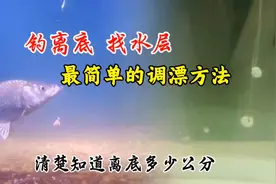 钓离底，最简单的调漂方法，找水层，清楚知道离底多少公分