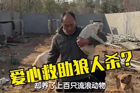 本想花26万为一位癌症晚期大哥重建他的流浪动物救助站，但没想道这位被同情buff叠满的人竟然里面情况这么复杂！#b太游山东视频封面