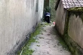 大孙子跟大孙女，像保镖？还是想监工呢😁😁视频封面