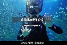 青岛极地海洋公园打卡攻略 如果你来到青岛旅行视频封面