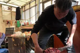 西藏牦牛值多少钱，上次有人来西藏撞死一头牦牛赔了1.5w，你们信吗#西藏美食 #牧区风景 #我的乡村生活