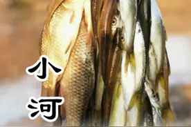 小河鱼冻 寒冬腊月，鲜美的小河鱼做成的鱼冻美味到起飞哦#2024新农人计划 #农村美食 #地方特色美食 #农村生活 #内容启发搜索视频封面