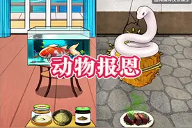 照顾好动物让他们进化报恩#脑洞大开 #脑洞游戏 #小游戏