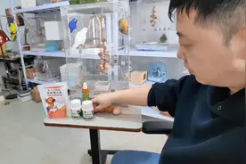 给鹦鹉喂鸡蛋 #鹦鹉小白 #手养鹦鹉 #鹦鹉能吃鸡蛋吗 @王十三