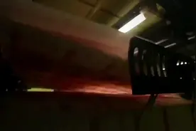 2025见者发财#抖音创作者大会视频封面