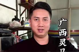 广西桂菜武鸣灵马鲶鱼，这种鱼老司机都喜欢吃。现在做的人越来越少#又是靓粒粒的一餐#magsafe