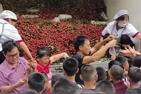 自己的孩子当然自己宠了！湖南一学校采购2.5万斤荔枝请学生免费吃视频封面