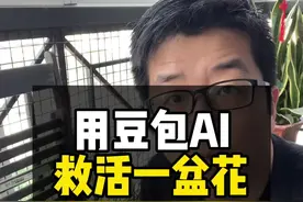 豆包AI的100种用法 用豆包AI来帮我养植物，虽然DeepSeek分析更深度，但是豆包不仅能写文字，还能识别图片，还能生成视频，听说读写，豆包AI样样精通了！#豆包AI #AI教程 #AI工具 #DeepSeek #好书分享