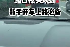 路上掉头规则，新手开上路必备。#新手上路 #带你懂车 #每天一个用车知识 #驾驶技巧 #汽车知识 @抖音汽车