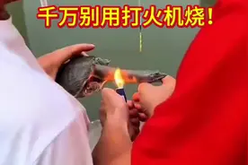 被甲鱼咬住手千万别用打火机烧它，也别打它！可以试试这个方法
