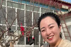年前做的芥菜疙瘩，今天来做一些芥菜丝咸菜吧，咸香诱人，卤香味十足#芥菜丝 #咸菜 #腌菜 #芥菜疙瘩咸菜 #地方特色美食