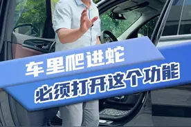 车里这个功能用错了，小心蛇爬进车里视频封面