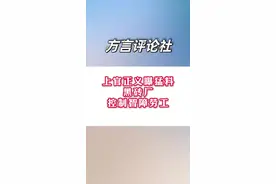 上官正义再爆料 砖厂涉嫌雇佣智障人员 只管饭不给钱 ##官方通报湖南砖厂用智障人员劳动